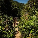 Cr 4 Estrellas La De Sentidos En Caceres 乡村民宿 *