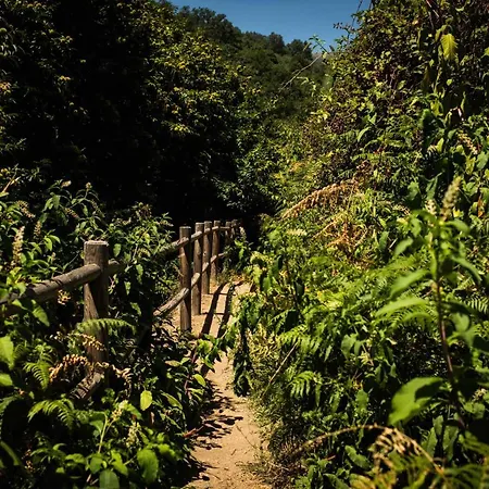 Cr 4 Estrellas La De Sentidos En Caceres 乡村民宿 *