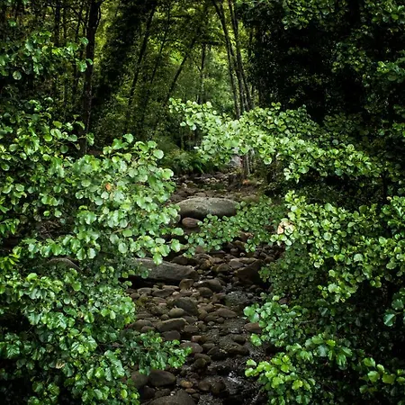 Cr 4 Estrellas La De Sentidos En Caceres *