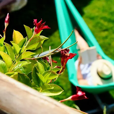 Cr 4 Estrellas La De Sentidos En Caceres Country house