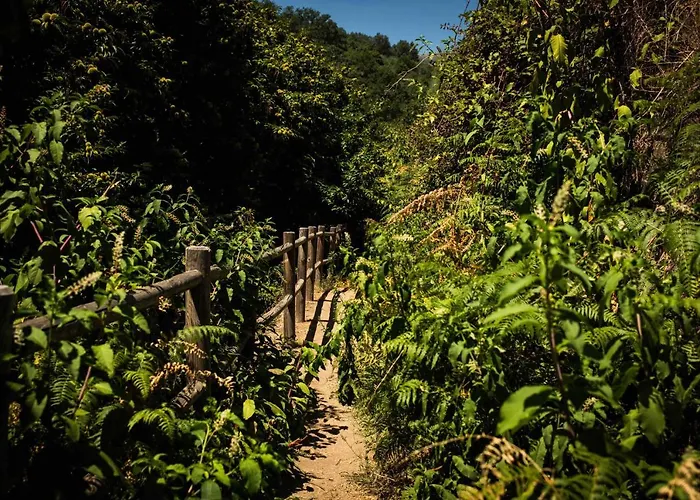 Cr 4 Estrellas La De Sentidos En Caceres Venkovský dům *