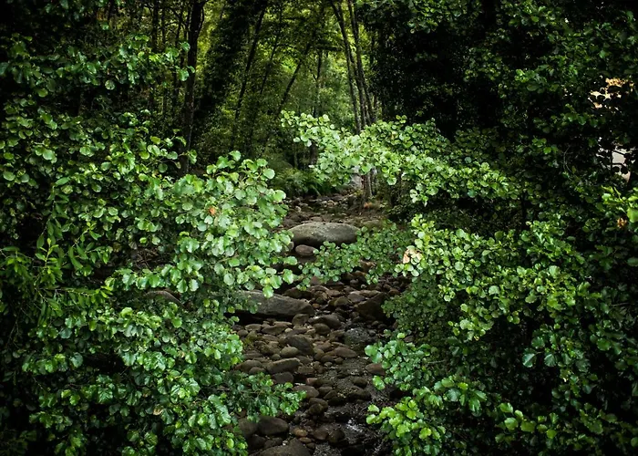 Cr 4 Estrellas La De Sentidos En Caceres *