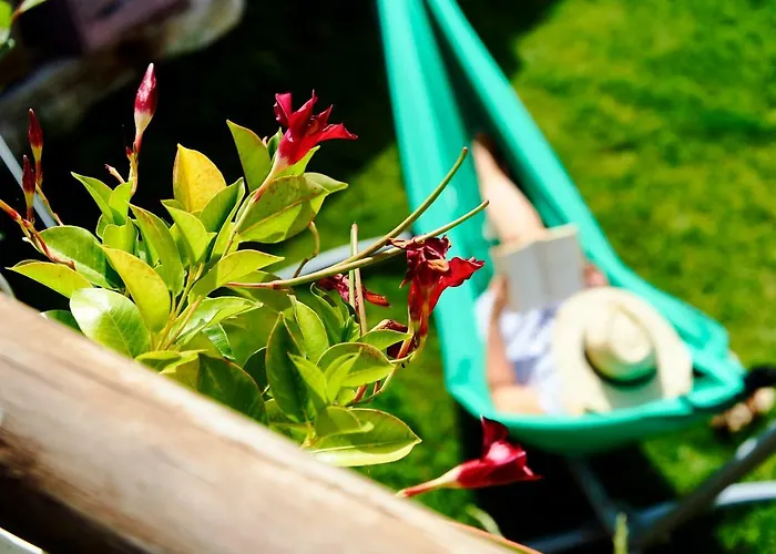 Cr 4 Estrellas La De Sentidos En Caceres Country house